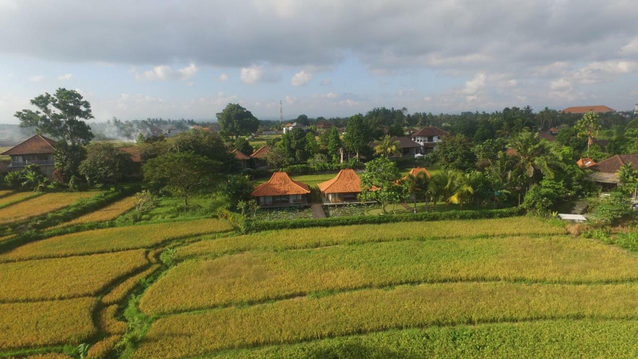 Griya Kcb Villa Ubud Mas  Exterior foto